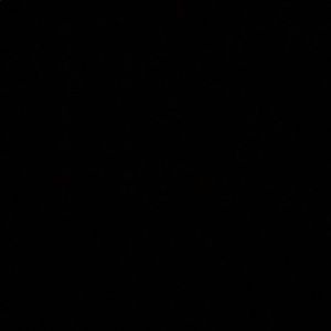 Meet your Posher, Pyotr